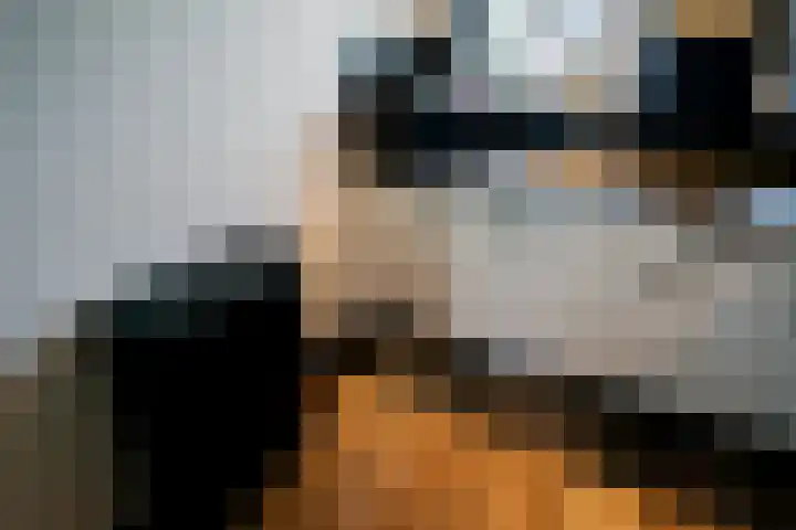 Butterwoud 97 Zwaag thumbnail 15