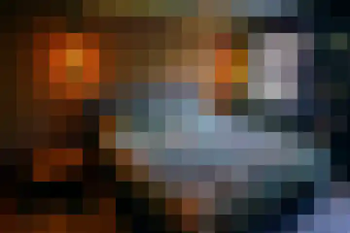Butterwoud 97 Zwaag thumbnail 18