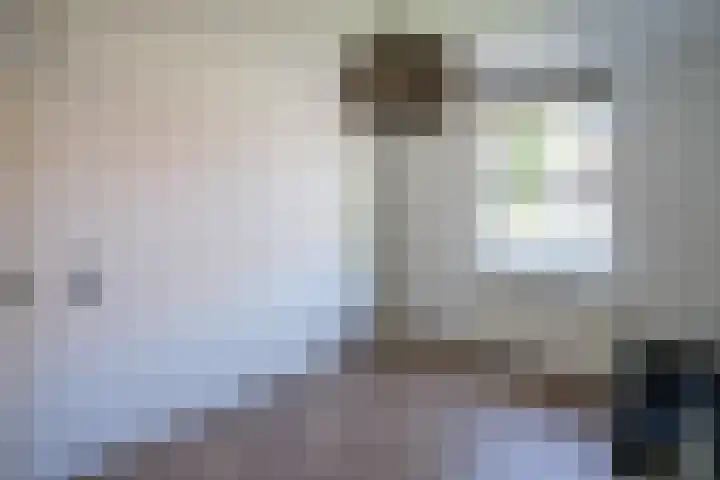 Butterwoud 97 Zwaag thumbnail 20