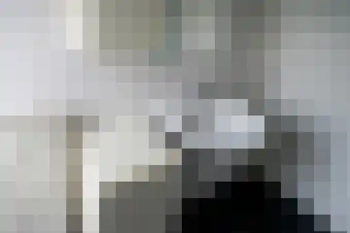 Butterwoud 97 Zwaag thumbnail 23