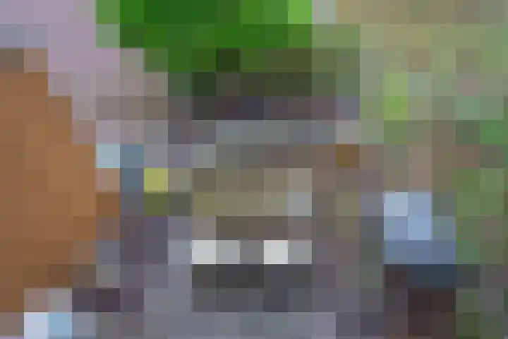 Butterwoud 97 Zwaag thumbnail 29