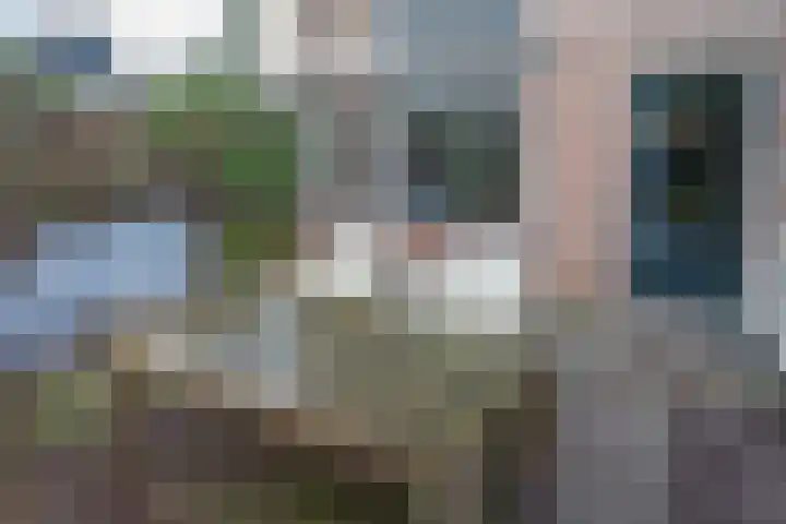 Butterwoud 97 Zwaag thumbnail 30
