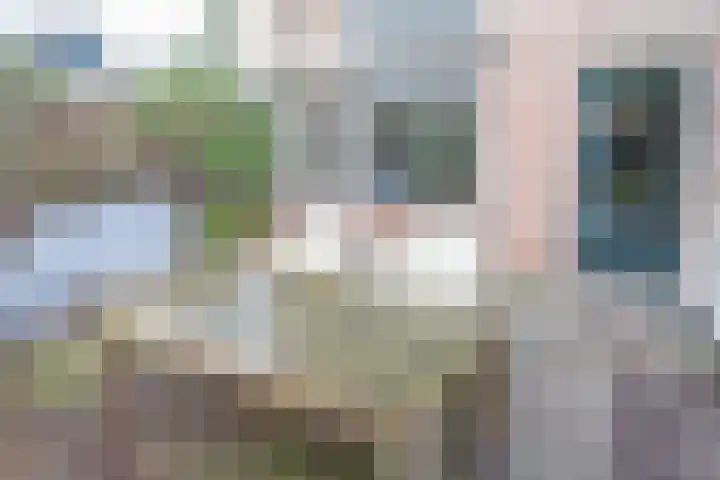 Butterwoud 97 Zwaag thumbnail 31