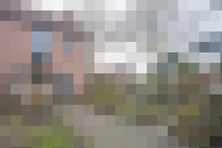 Butterwoud 97 Zwaag thumbnail 32