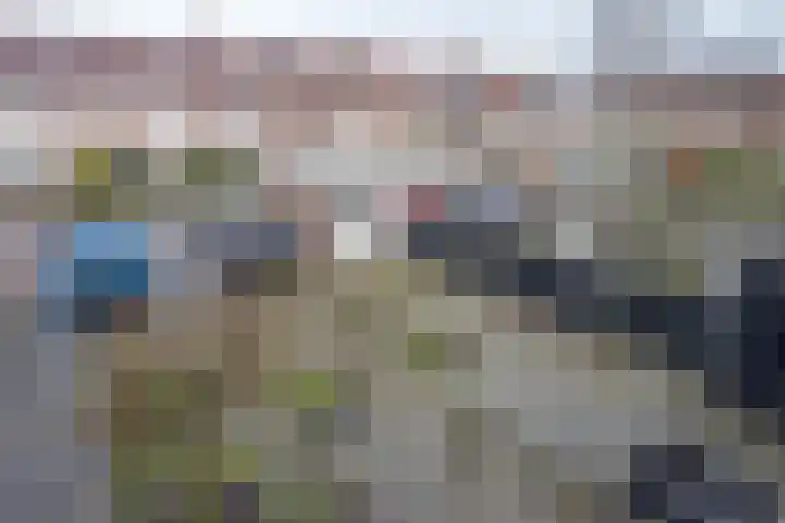 Butterwoud 97 Zwaag thumbnail 33