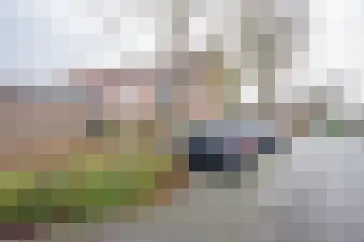 Butterwoud 97 Zwaag thumbnail 34