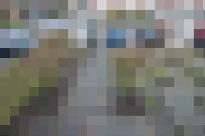 Butterwoud 97 Zwaag thumbnail 35