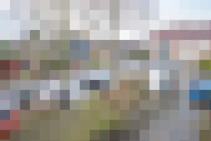 Butterwoud 97 Zwaag thumbnail 36