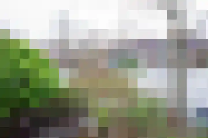 Butterwoud 97 Zwaag thumbnail 38