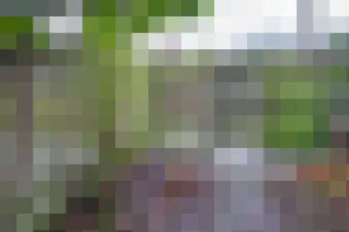 Butterwoud 97 Zwaag thumbnail 39