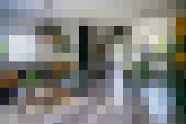 Butterwoud 97 Zwaag thumbnail 4
