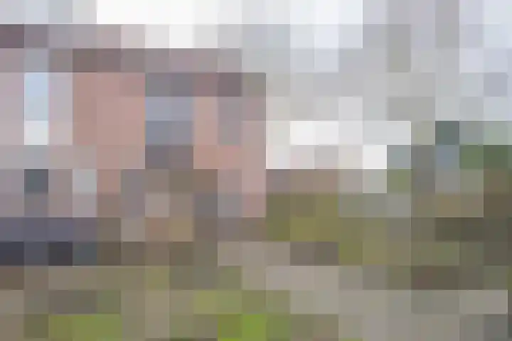 Butterwoud 97 Zwaag thumbnail 40