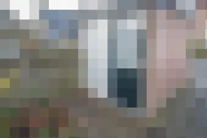 Butterwoud 97 Zwaag thumbnail 42