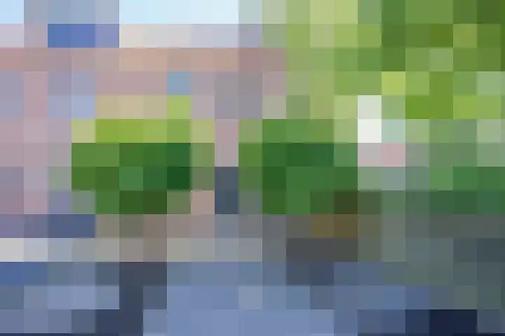 Butterwoud 97 Zwaag thumbnail 43