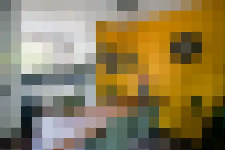 Butterwoud 97 Zwaag thumbnail 5