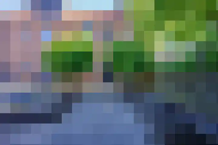 Butterwoud 97 Zwaag thumbnail 50