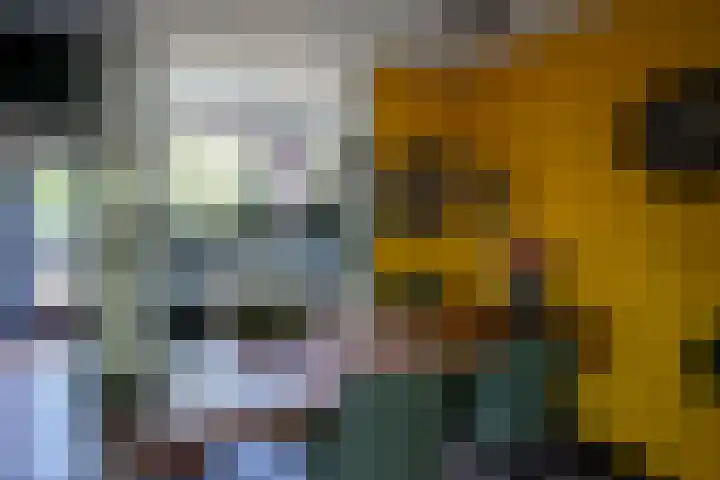 Butterwoud 97 Zwaag thumbnail 6
