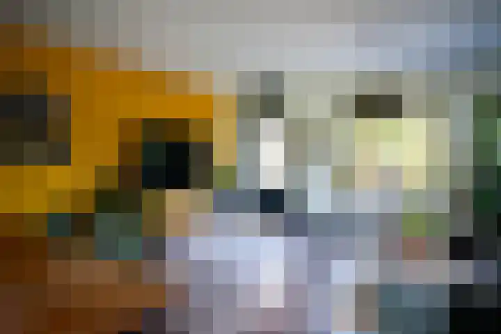 Butterwoud 97 Zwaag thumbnail 7