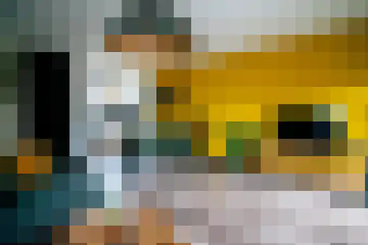 Butterwoud 97 Zwaag thumbnail 9