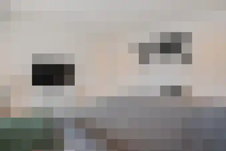 Buttingasingel 21 Oosterwolde thumbnail 25