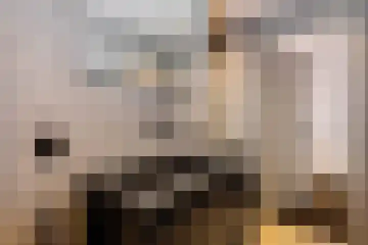 Buttingasingel 21 Oosterwolde thumbnail 27
