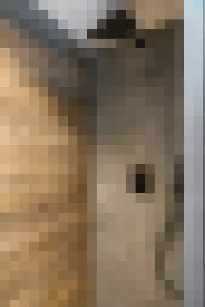 Buttingasingel 21 Oosterwolde thumbnail 28