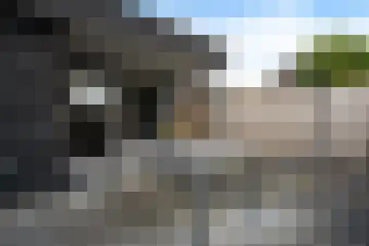Buttingasingel 21 Oosterwolde thumbnail 31