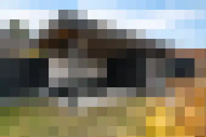 Buttingasingel 21 Oosterwolde thumbnail 35