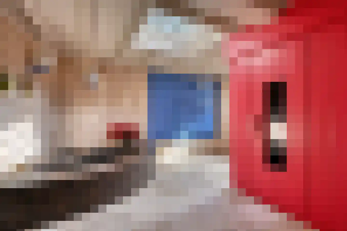 Buunderkamp 9 Wolfheze thumbnail 22