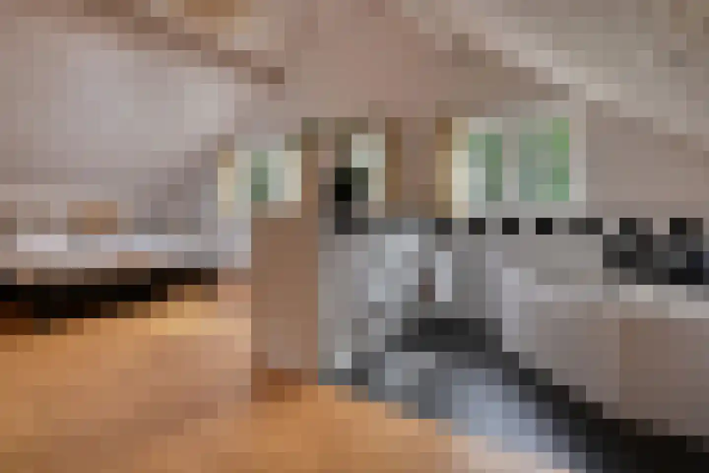 Buunderkamp 9 Wolfheze thumbnail 32