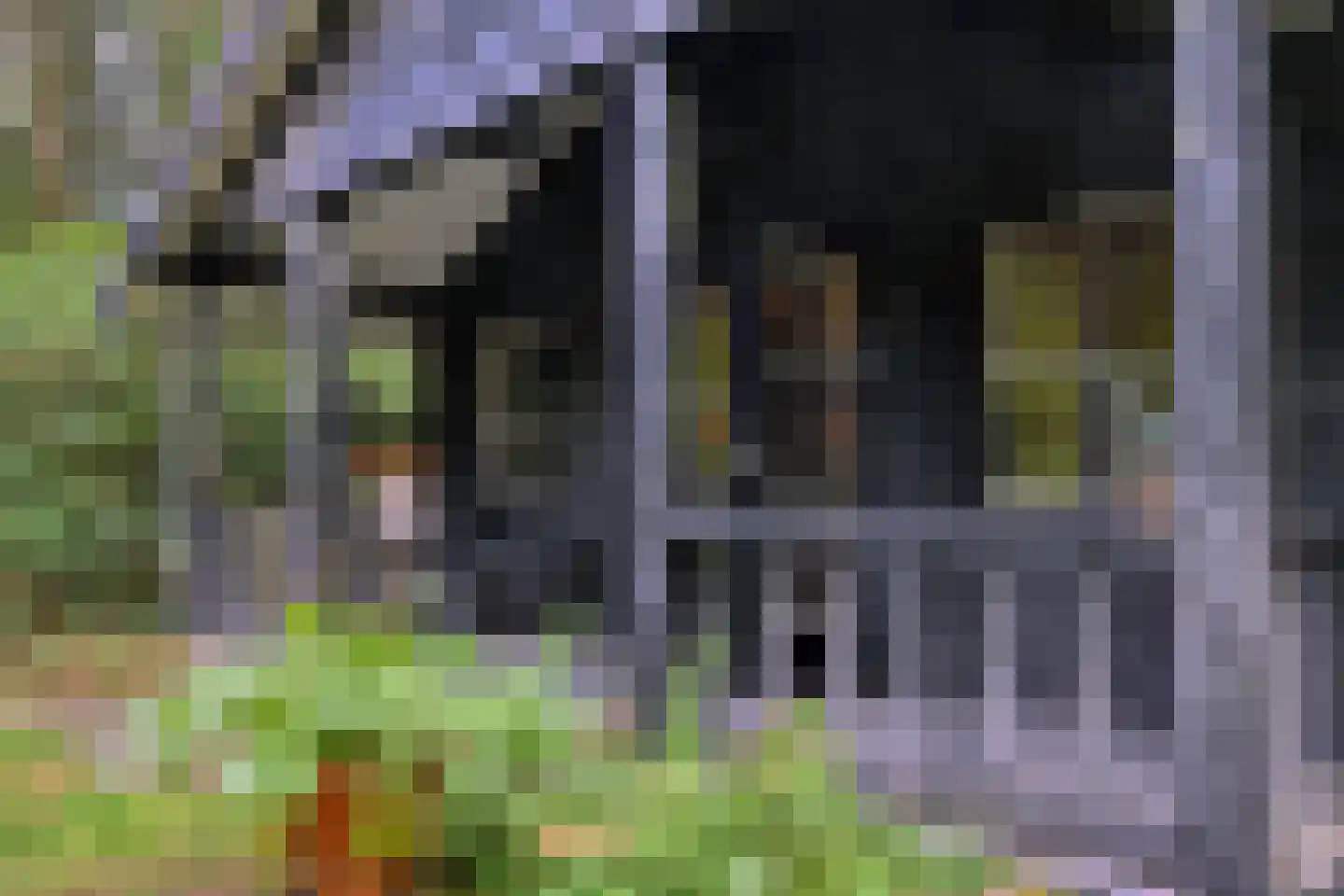Buunderkamp 9 Wolfheze thumbnail 49