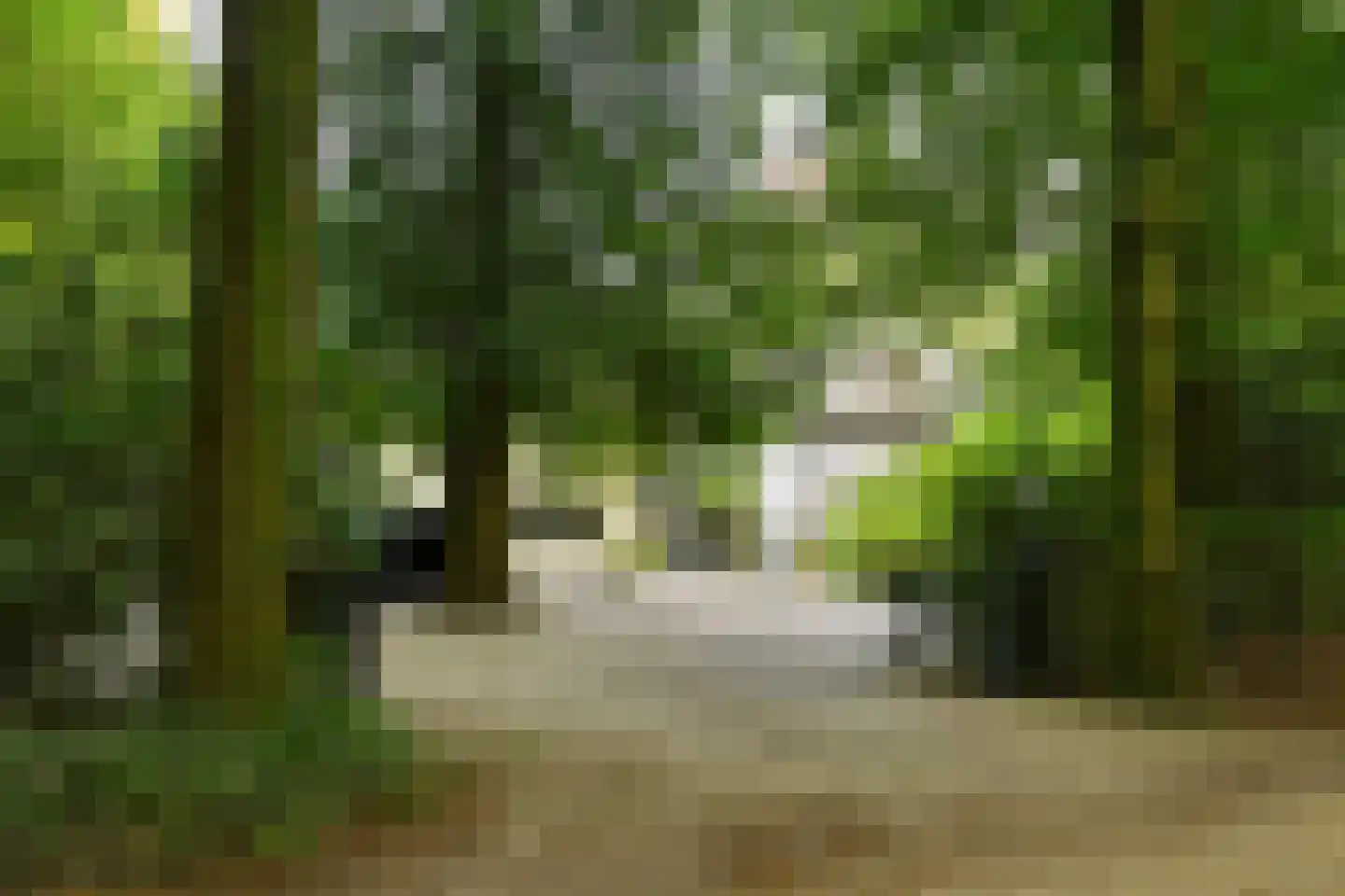 Buunderkamp 9 Wolfheze thumbnail 5