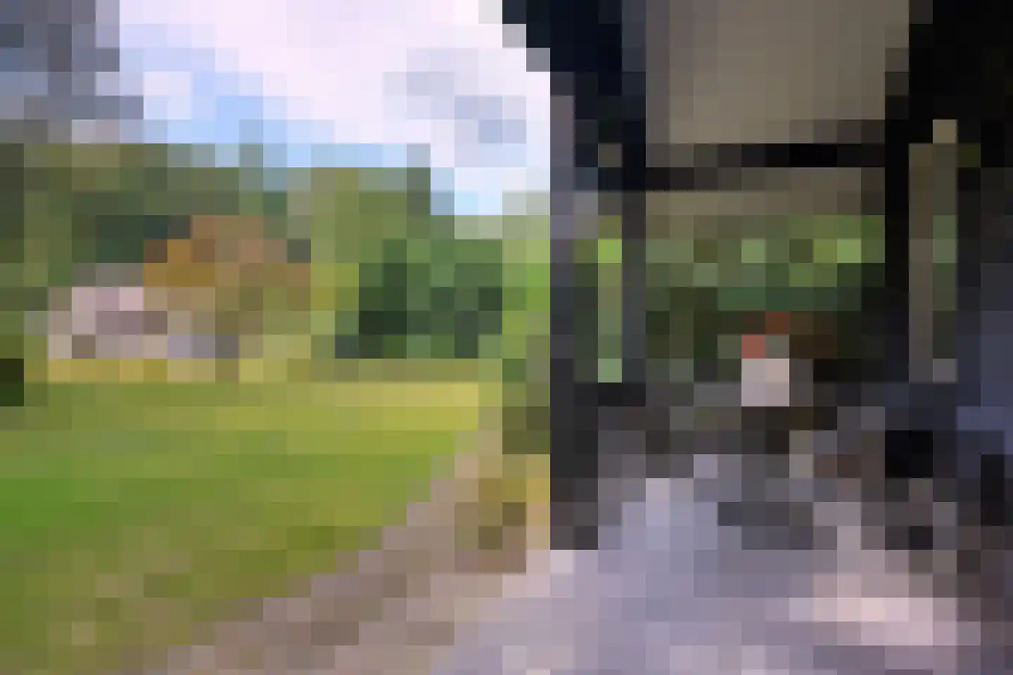 Buunderkamp 9 Wolfheze thumbnail 50