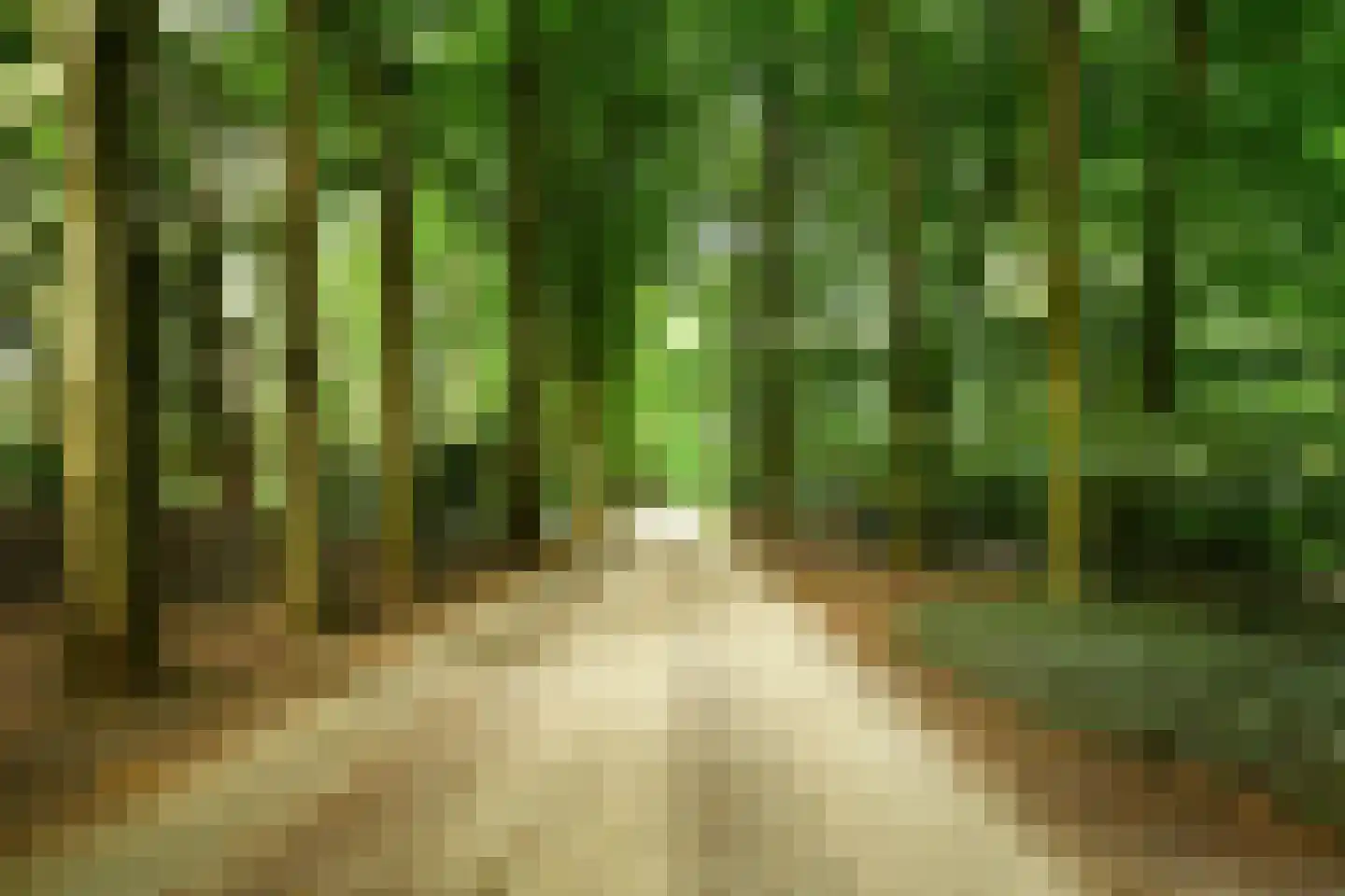 Buunderkamp 9 Wolfheze thumbnail 56