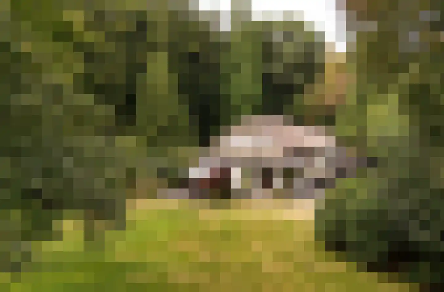 Buunderkamp 9 Wolfheze thumbnail 57