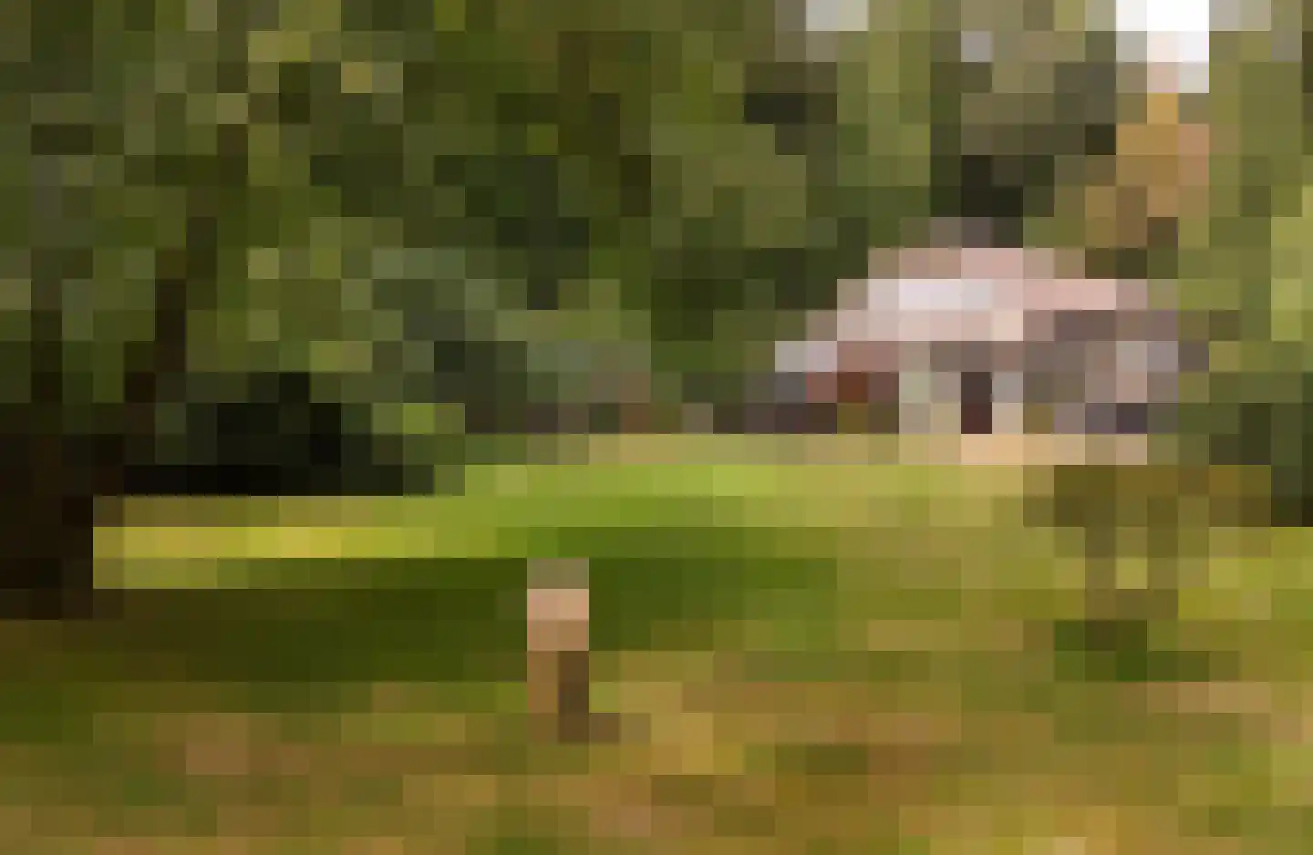 Buunderkamp 9 Wolfheze thumbnail 58