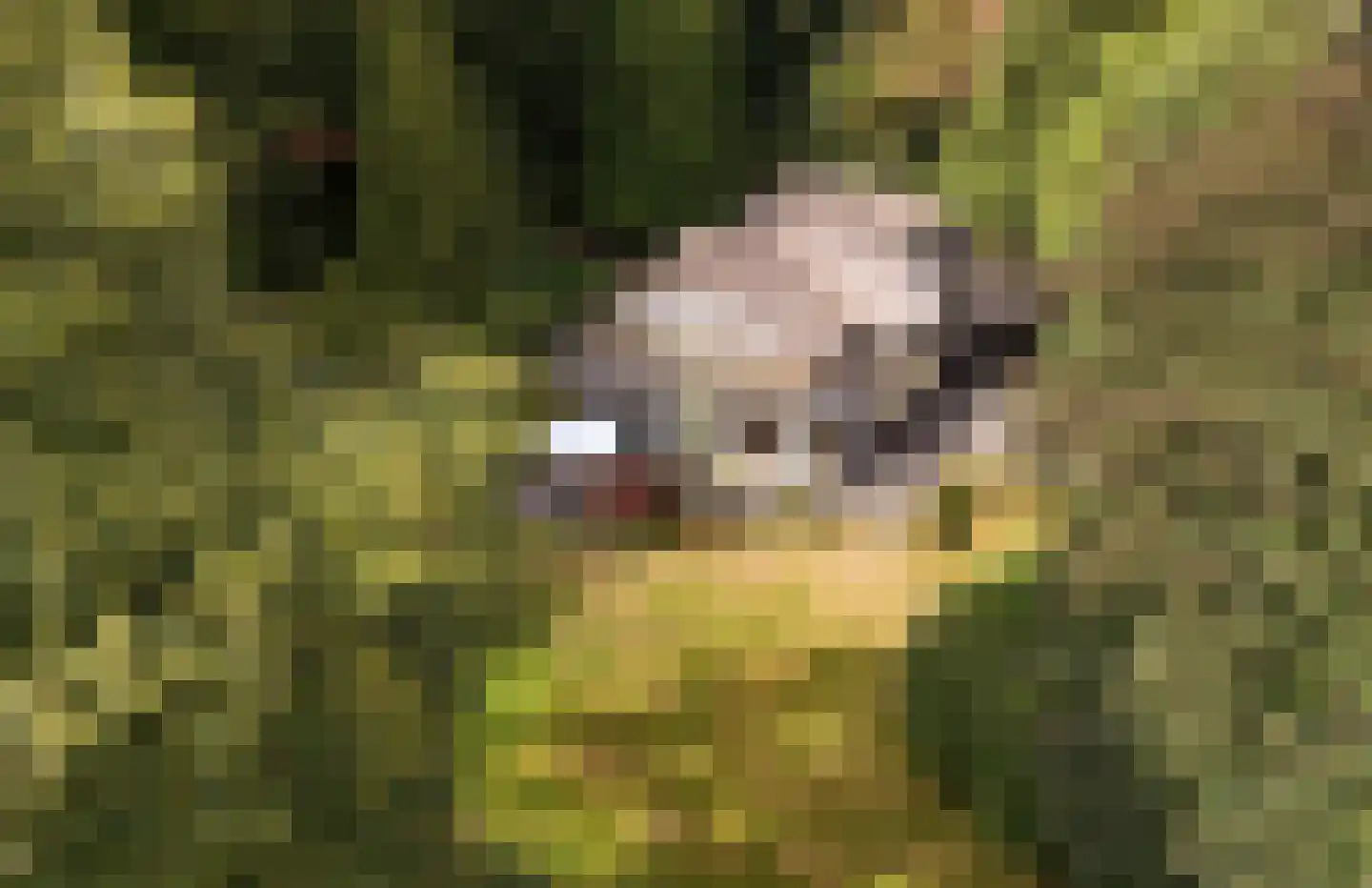 Buunderkamp 9 Wolfheze thumbnail 59