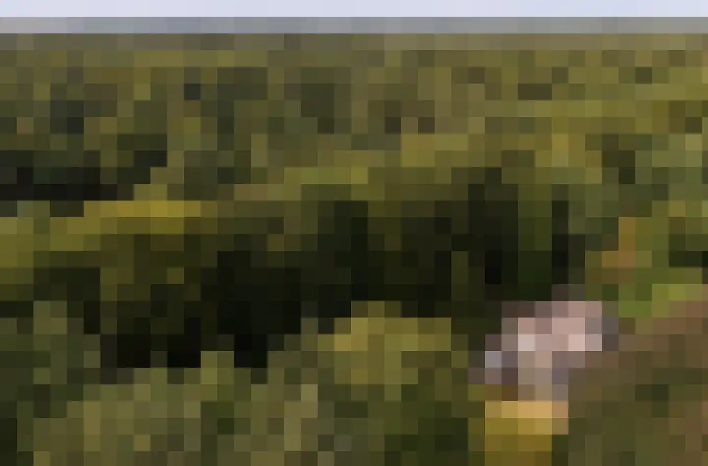 Buunderkamp 9 Wolfheze thumbnail 60