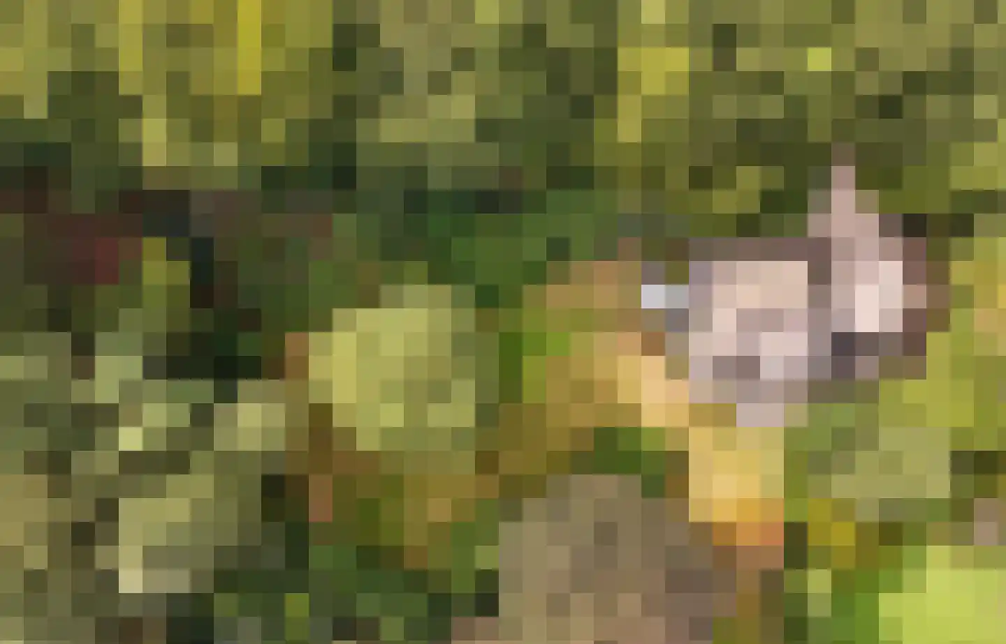 Buunderkamp 9 Wolfheze thumbnail 61