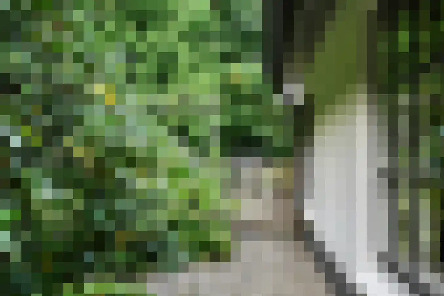 Buunderkamp 9 Wolfheze thumbnail 7