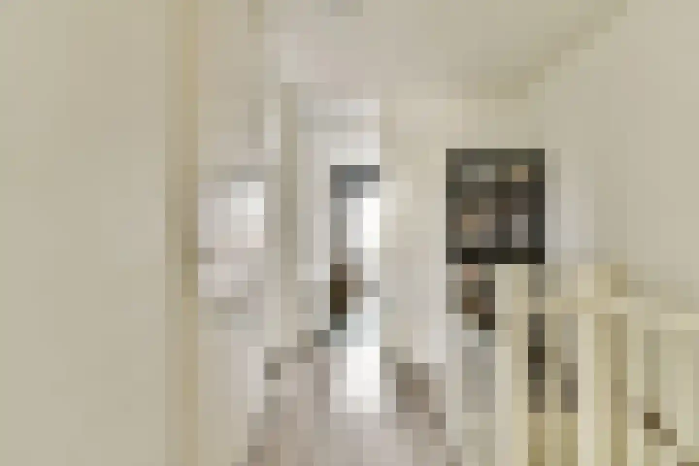 Buurkamp 11 Rotterdam thumbnail 14