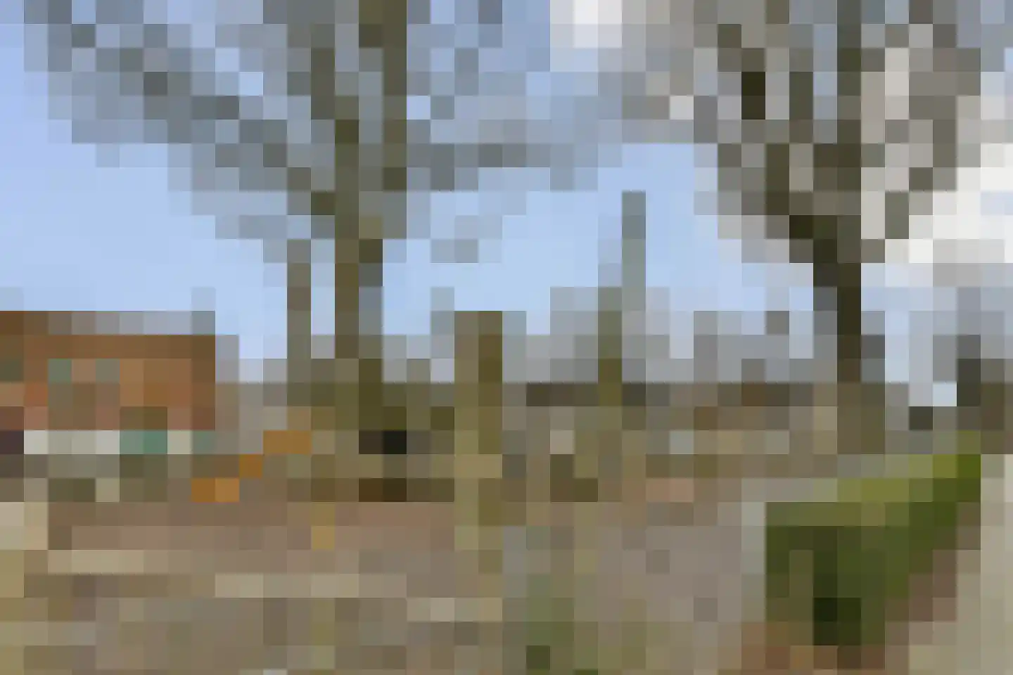 Buurkamp 11 Rotterdam thumbnail 25