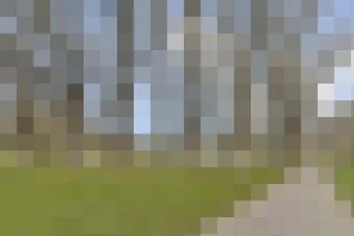 Buurkamp 11 Rotterdam thumbnail 26