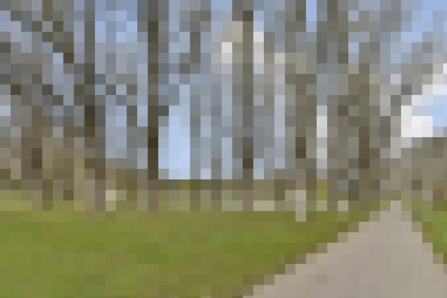 Buurkamp 11 Rotterdam thumbnail 26