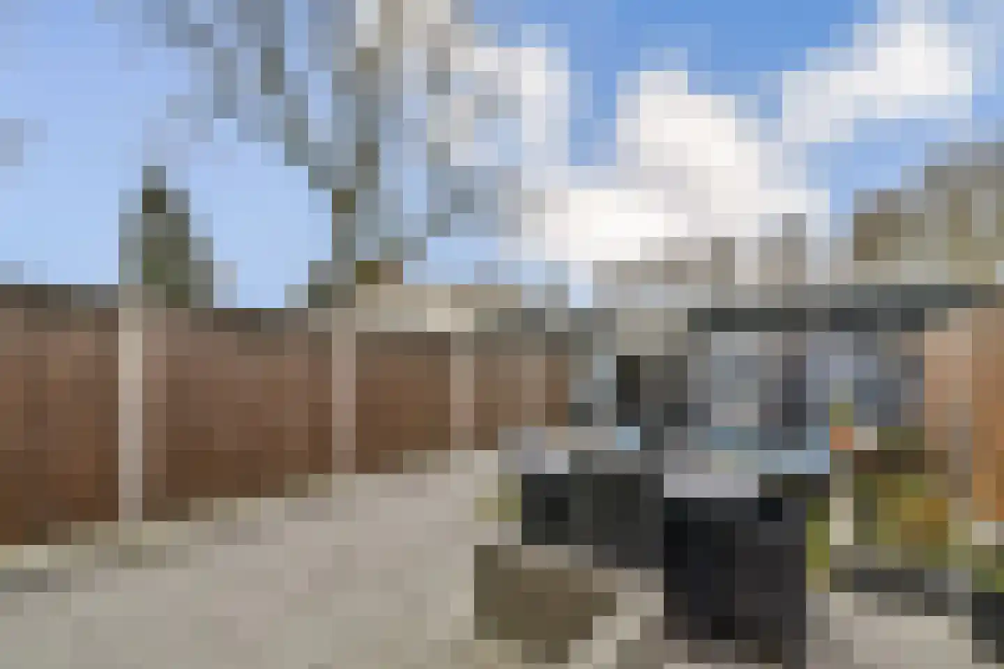 Buurkamp 11 Rotterdam thumbnail 5