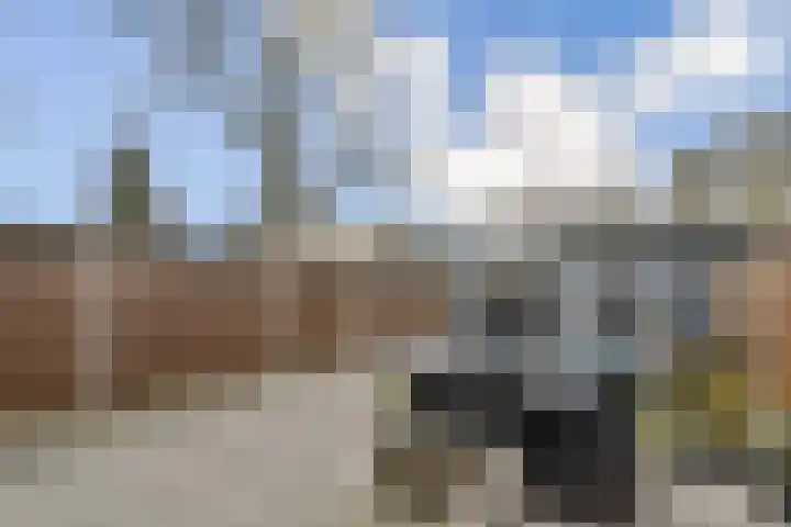 Buurkamp 11 Rotterdam thumbnail 5