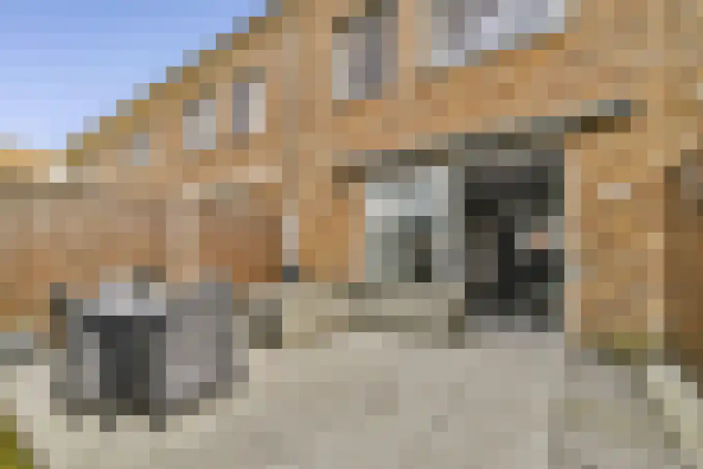 Buurkamp 11 Rotterdam thumbnail 6