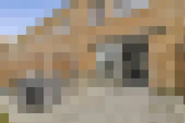 Buurkamp 11 Rotterdam thumbnail 6