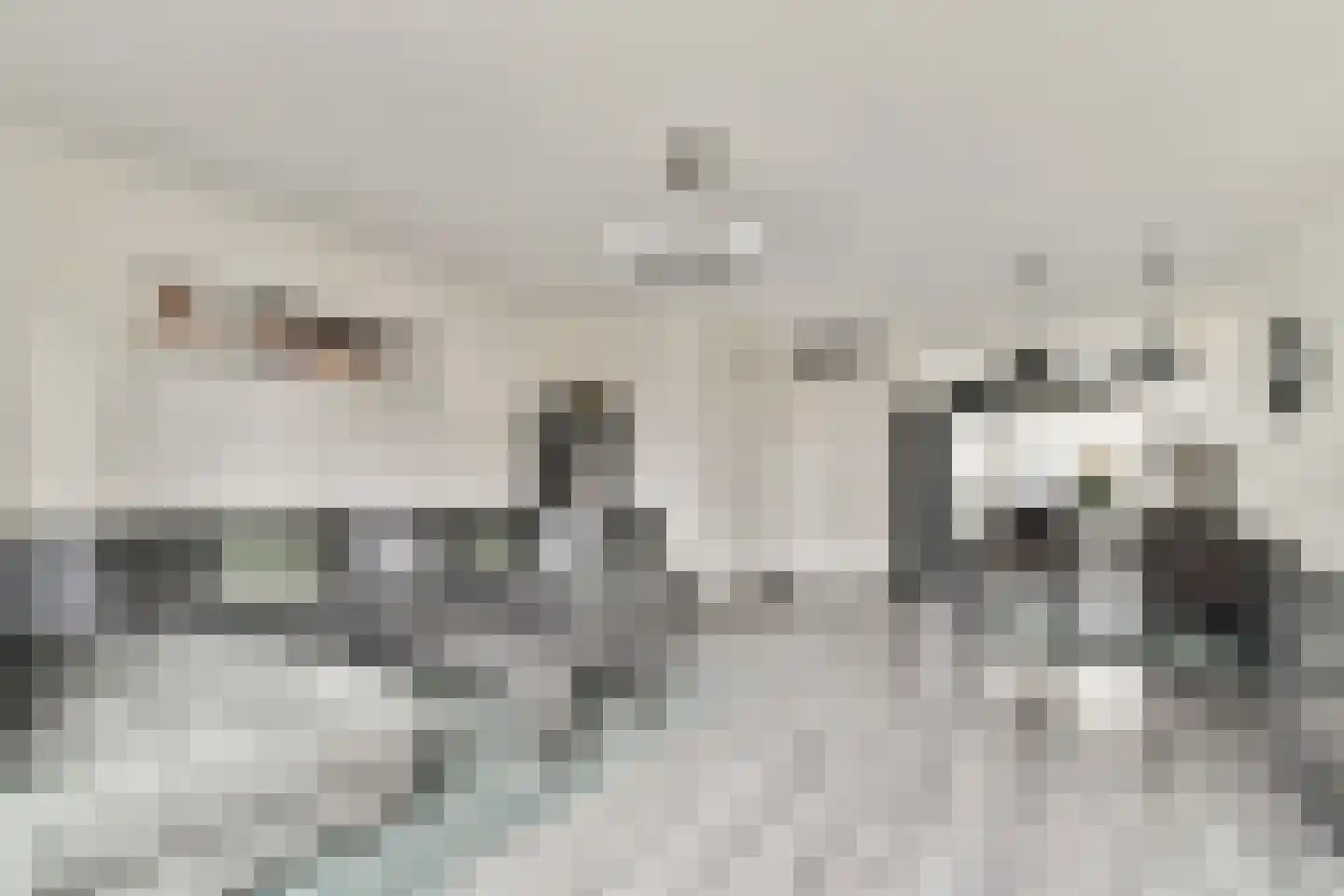 Buurkamp 11 Rotterdam thumbnail 7