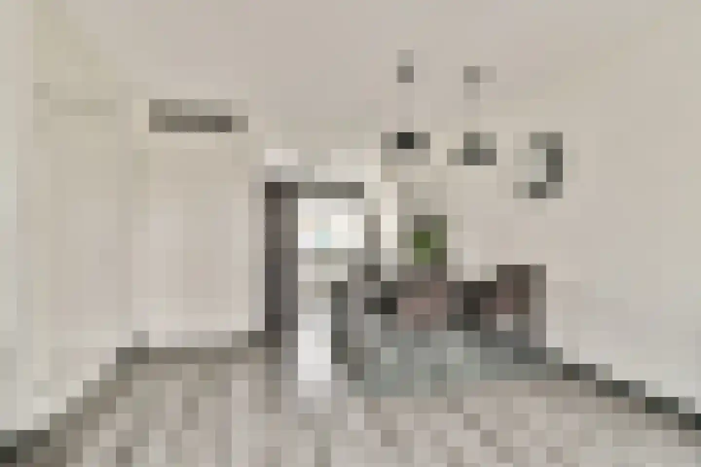 Buurkamp 11 Rotterdam thumbnail 8